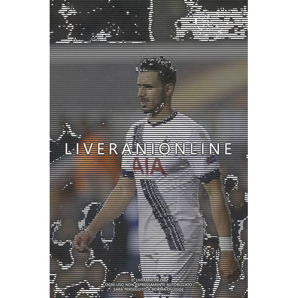 Tottenham Hotspur\'s Nacer Chadli on his return to action during tonight\'s match Photographer Craig Mercer/CameraSport Football - UEFA Europa LeagueGroup G - Tottenham Hotspur v Monaco - Thursday 10th December 2015 - White Hart Lane - London © CameraSport - 43 Linden Ave. Countesthorpe. Leicester. England. LE8 5PG - Tel: +44 (0) 116 277 4147 - admin@camerasport.com - www.camerasport.com AG ALDO LIVERANI SAS ONLY ITALY