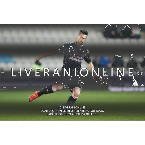 Uros SPAJIC - 12.12.2015 - Nantes / Toulouse - 18eme journee de Ligue 1 Photo : Vincent Michel / Icon Sport AG ALDO LIVERANI SAS ONLY ITALY