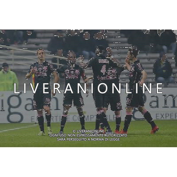 Joie Aleksandar PESIC - 12.12.2015 - Nantes / Toulouse - 18eme journee de Ligue 1 Photo : Vincent Michel / Icon Sport AG ALDO LIVERANI SAS ONLY ITALY