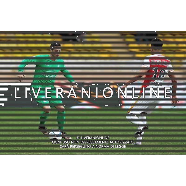 Romain HAMOUMA - 13.12.2015 - Monaco / Saint Etienne - 18eme journee de Ligue 1 Photo : Jean Christophe Magnenet / Icon Sport/ AGENZIA ALDO LIVERANI SAS - ITALY ONLY EDITORIAL USE ONLY