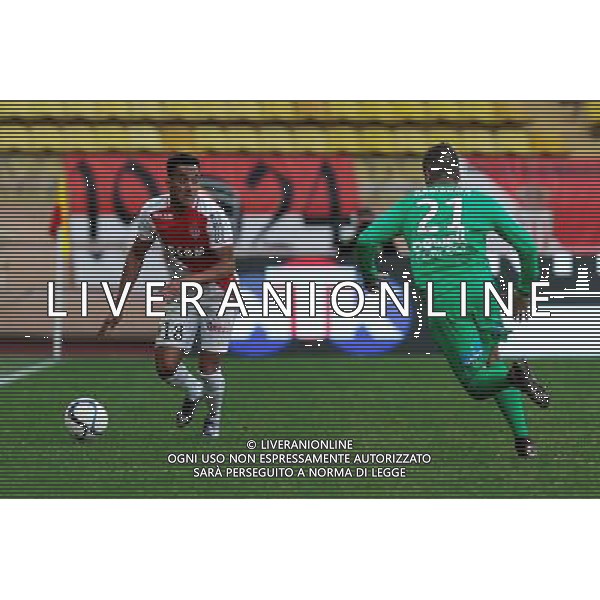 Helder COSTA - 13.12.2015 - Monaco / Saint Etienne - 18eme journee de Ligue 1 Photo : Jean Christophe Magnenet / Icon Sport/ AGENZIA ALDO LIVERANI SAS - ITALY ONLY EDITORIAL USE ONLY