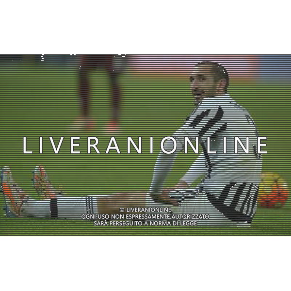 Coppa Italia TIM Cup 2015/2016 Ottavi di Finale Torino - 16.12.2015 Juventus-Torino Nella Foto:chiellini giorgio /Ph.Vitez-Ag. Aldo Liverani