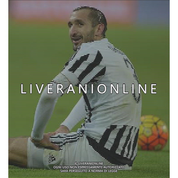 Coppa Italia TIM Cup 2015/2016 Ottavi di Finale Torino - 16.12.2015 Juventus-Torino Nella Foto:Chiellini Giorgio /Ph.Vitez-Ag. Aldo Liverani