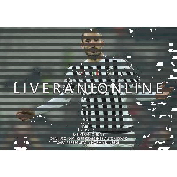 Coppa Italia TIM Cup 2015/2016 Ottavi di Finale Torino - 16.12.2015 Juventus-Torino Nella Foto:Chiellini Giorgio /Ph.Vitez-Ag. Aldo Liverani