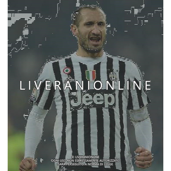 Coppa Italia TIM Cup 2015/2016 Ottavi di Finale Torino - 16.12.2015 Juventus-Torino Nella Foto:Chiellini Giorgio /Ph.Vitez-Ag. Aldo Liverani