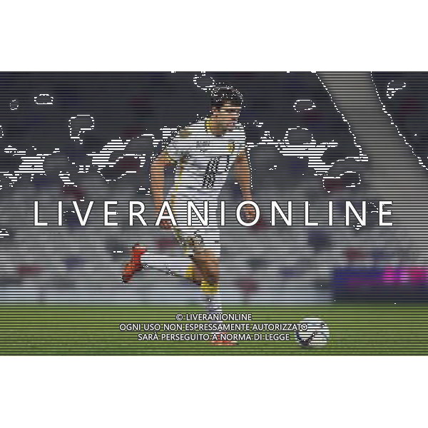 Renato Civelli - 19.12.2015 - Toulouse / Lille - 19eme journee de Ligue 1 Photo : Manu Blondeau / Icon Sport / AGENZIA ALDO LIVERANI SAS - ITALY ONLY EDITORIAL USE ONLY