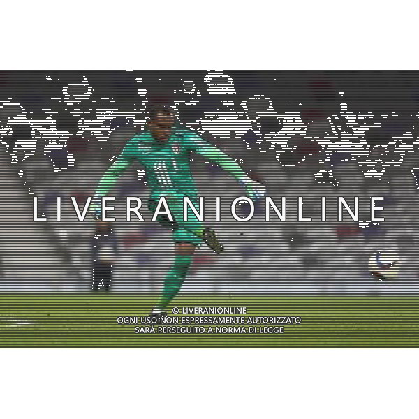 Vincent Enyeama - 19.12.2015 - Toulouse / Lille - 19eme journee de Ligue 1 Photo : Manu Blondeau / Icon Sport / AGENZIA ALDO LIVERANI SAS - ITALY ONLY EDITORIAL USE ONLY