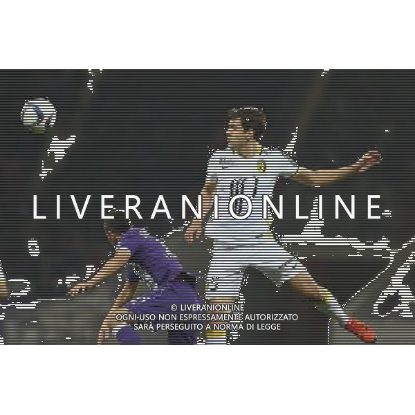 Renato Civelli - 19.12.2015 - Toulouse / Lille - 19eme journee de Ligue 1 Photo : Manu Blondeau / Icon Sport / AGENZIA ALDO LIVERANI SAS - ITALY ONLY EDITORIAL USE ONLY
