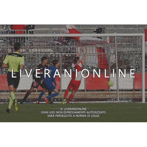 Campionato Lega Pro, Girone B, 16» giornata, RIMINI vs ANCONA del 19/12/2015, nella foto IL GOAL DELLO 0 A 1, ©CLAUDIO ZAMAGNI/AGENZIA ALDO LIVERANI S.A.S.