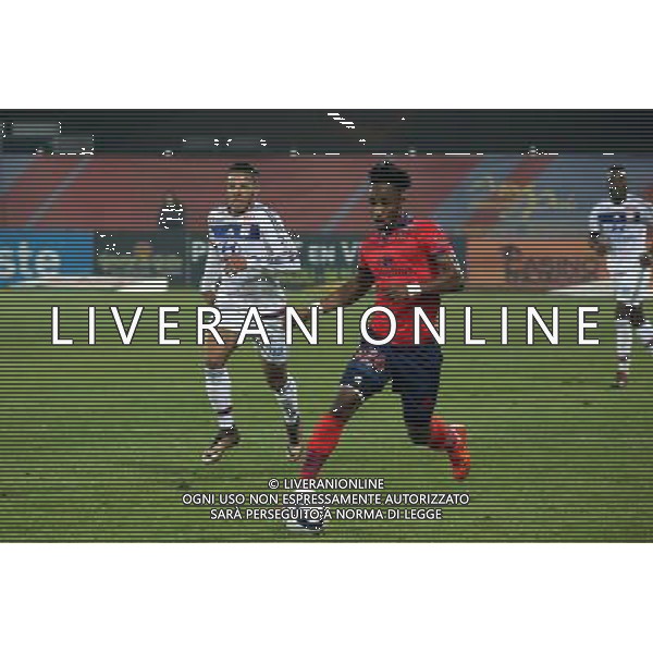 John TSHIBUMBU - 20.12.2015 - Gazelec Ajaccio / Lyon - 19eme journee de Ligue 1 Photo : JP Belzit / Icon Sport AG ALDO LIVERANI SAS ONLY ITALY