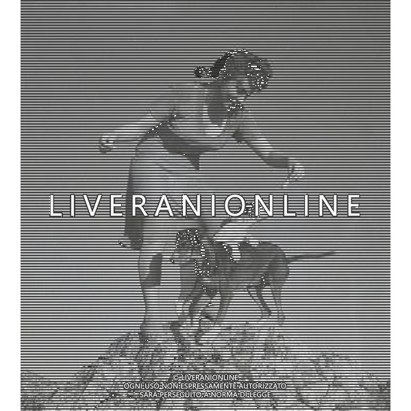 1954 FILM PANE AMORE E GELOSIA REGIA DI LUIGI COMENCINI NELLA FOTO GINA LOLLOBRIGIDA AG ALDO LIVERANI SAS