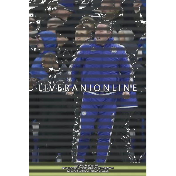 Chelsea\'s assistant first team coach Steve Holland celebrates his side\'s equalising goal in the last minute Photographer Craig Mercer/CameraSport Football - Barclays Premiership - Chelsea v Everton - Saturday 16th January 2016 - Stamford Bridge - London © CameraSport - 43 Linden Ave. Countesthorpe. Leicester. England. LE8 5PG - Tel: +44 (0) 116 277 4147 - admin@camerasport.com - www.camerasport.com AG ALDO LIVERANI SAS