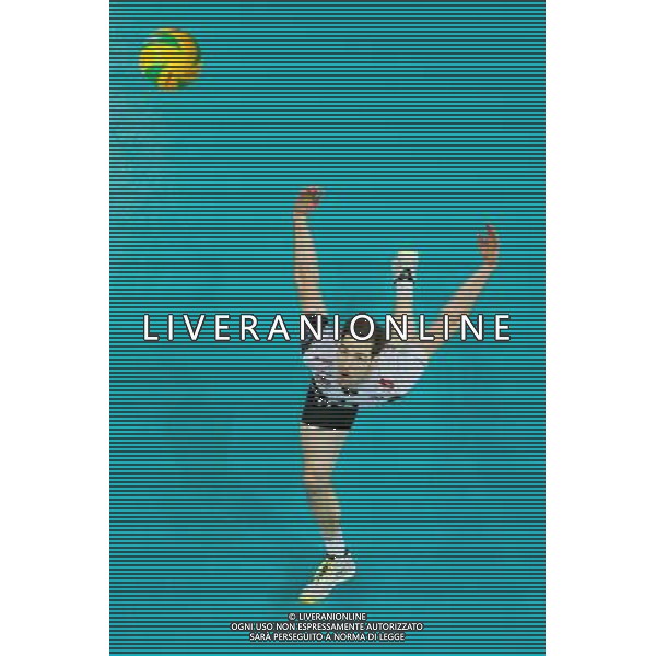 Gdynia, Gdynia Arena 21.01.2016 PLUSLIGA PLPS SIATKOWKA LIGA MISTRZOW CEV MEZCZYZN LOTOS TREFL GDANSK MECZ Lotos Trefl Gdansk vs DHL Modena CEV VOLLEYBALL CHAMPIONS LEAGUE GAME Lotos Trefl Gdansk vs DHL Modena NZ murphy troy , FOT. WOJCIECH FIGURSKI / 058sport.pl / NEWSPIX.PL --- Newspix.pl / AGENZIA ALDO LIVERANI SAS - ITALY ONLY EDITORIAL USE ONLY