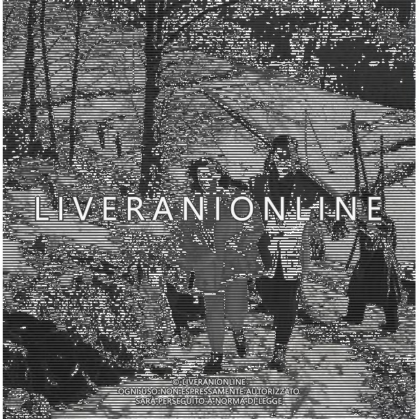 Nel gennaio 1949 spos˜ sul Monte Terminillo (Rieti) il medico sloveno Milko Skofic, che prestava servizio fra i profughi temporaneamente alloggiati a Cinecittˆ NELLA FOTO IL GIORNO DEL MATRIMONIO TRA GINA LOLLOBRIGIDA E MILKO SKOFIC AG ALDO LIVERANI SAS 