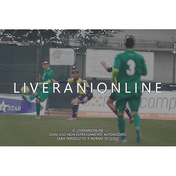 Campionato Lega Pro, Girone B, 19Âª giornata, SANTARCANGELO vs CARRARESE del 23/01/2016, nella foto: Â©CLAUDIO ZAMAGNI/AGENZIA ALDO LIVERANI S.A.S./ AGENZIA ALDO LIVERANI SAS