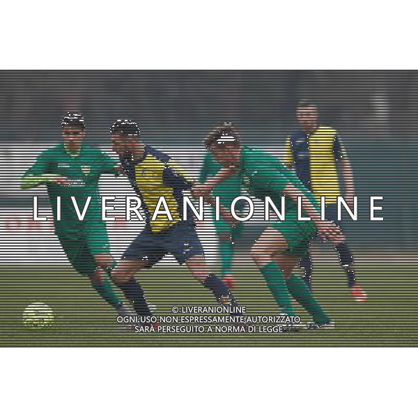 Campionato Lega Pro, Girone B, 19Âª giornata, SANTARCANGELO vs CARRARESE del 23/01/2016, nella foto: Â©CLAUDIO ZAMAGNI/AGENZIA ALDO LIVERANI S.A.S./ AGENZIA ALDO LIVERANI SAS