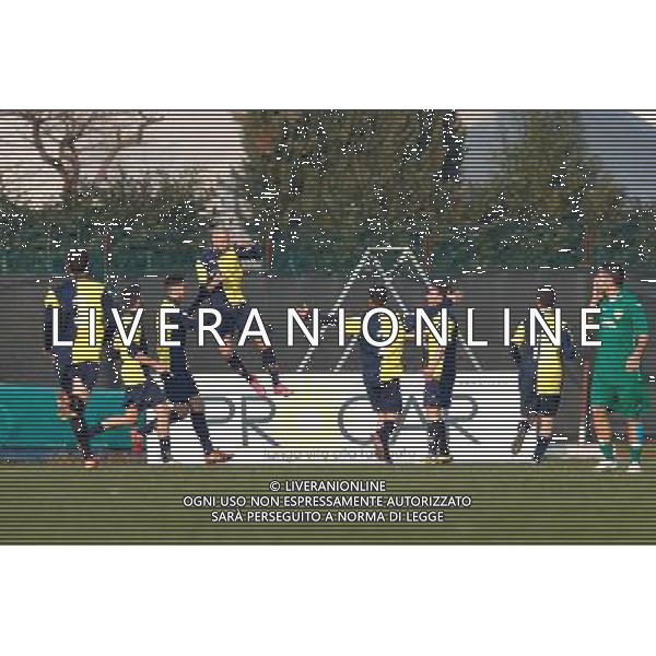 Campionato Lega Pro, Girone B, 19Âª giornata, SANTARCANGELO vs CARRARESE del 23/01/2016, nella foto: L\'ESULTANZA DI ILARI, DEL SANTARCANGELO, Â©CLAUDIO ZAMAGNI/AGENZIA ALDO LIVERANI S.A.S./ AGENZIA ALDO LIVERANI SAS