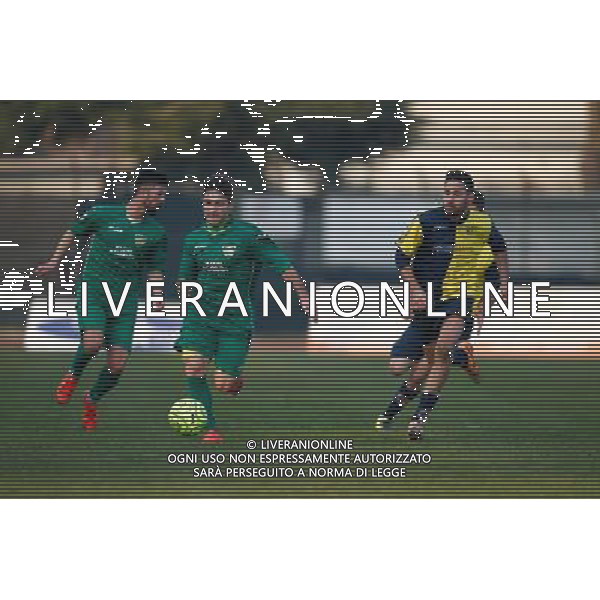 Campionato Lega Pro, Girone B, 19Âª giornata, SANTARCANGELO vs CARRARESE del 23/01/2016, nella foto: Â©CLAUDIO ZAMAGNI/AGENZIA ALDO LIVERANI S.A.S./ AGENZIA ALDO LIVERANI SAS
