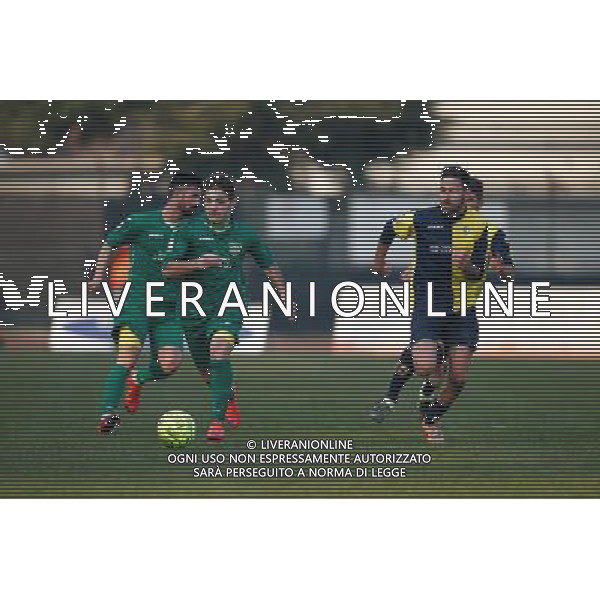 Campionato Lega Pro, Girone B, 19Âª giornata, SANTARCANGELO vs CARRARESE del 23/01/2016, nella foto: Â©CLAUDIO ZAMAGNI/AGENZIA ALDO LIVERANI S.A.S./ AGENZIA ALDO LIVERANI SAS