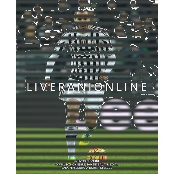 Coppa Italia TIM Cup 2015/2016 Semifinale Andata Torino - 27.01.2016 Juventus-Inter Nella Foto:Chiellini Giorgio /Ph.Vitez-Ag. Aldo Liverani