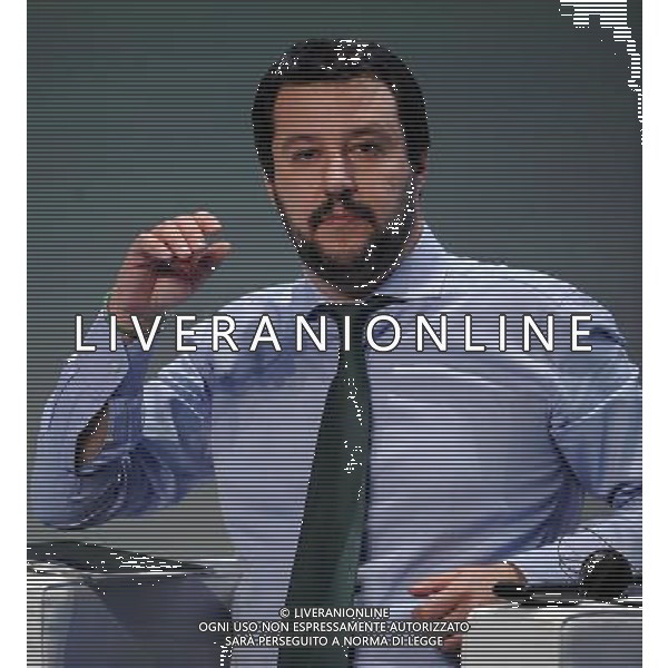 Covegno Enf Europe of Nations and Freedom - Piu\' liberi piu\' forti. Un\'altra Europa e\' possibile Milano - 28.01.2016 Nella Foto:Matteo Salvini /Ph.Vitez-Ag. Aldo Liverani