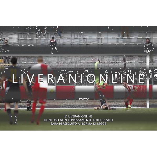 RIMINI vs LUPA ROMA, Campionato Lega Pro, Girone B, 20Âª giornata, 30/01/2016, nella foto: IL GOAL DEL RIMINI, ph.Claudio Zamagni/AGENZIA ALDO LIVERANI S.A.S.