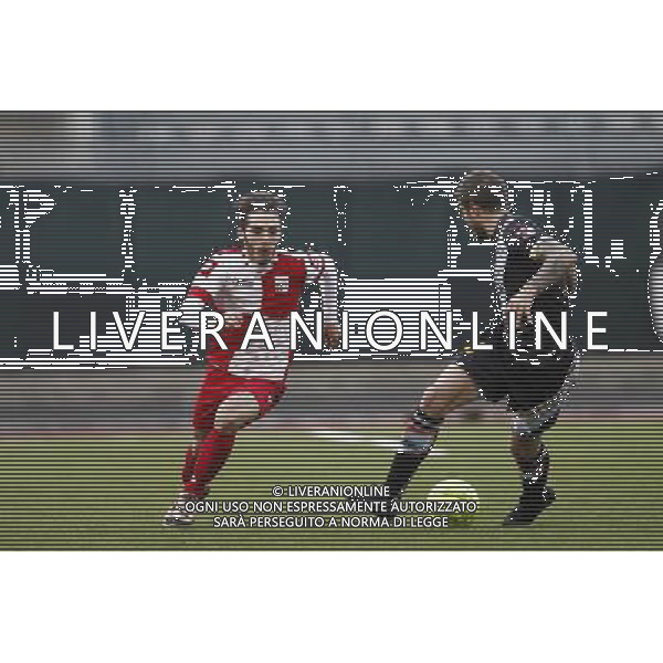 RIMINI vs LUPA ROMA, Campionato Lega Pro, Girone B, 20Âª giornata, 30/01/2016, nella foto: ph.Claudio Zamagni/AGENZIA ALDO LIVERANI S.A.S.