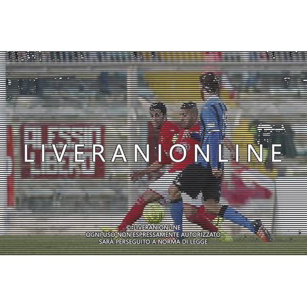 ANCONA vs PISA, Campionato di Calcio Lega Pro, Girone B, 20» giornata, 31/01/2016, nella foto: ph.Claudio Zamagni/AGENZIA ALDO LIVERANI S.A.S.