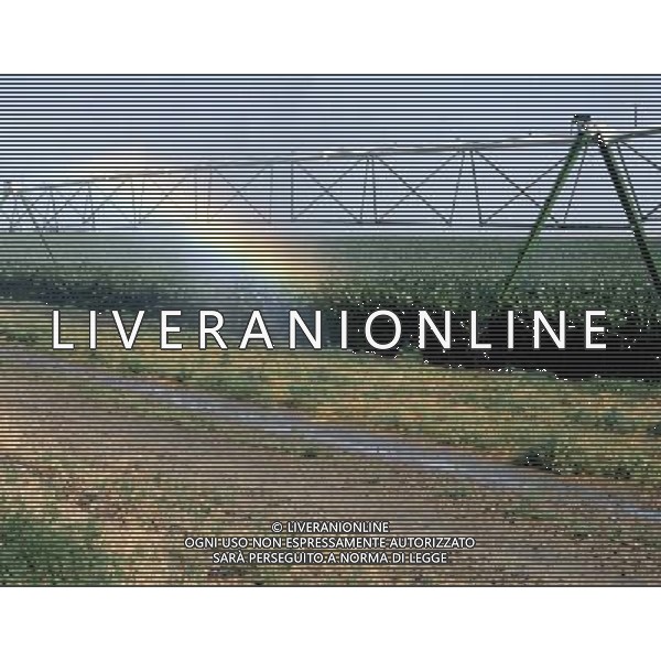 NELLA FOTO L\'ARCOBALENO AGENZIA ALDO LIVERANI IFC