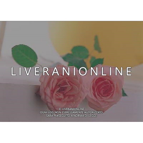 AGENZIA ALDO LIVERANI S A S NELLA FOTO FIORI ROSE ALDO LIVERANI