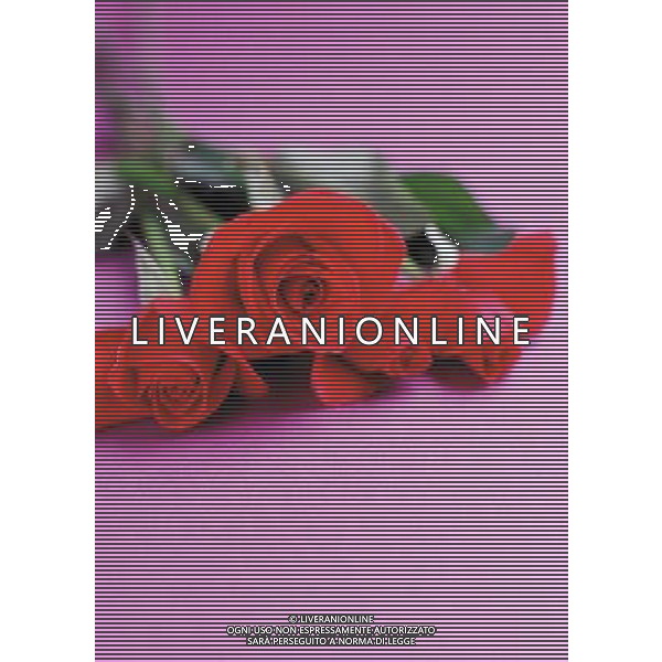 AGENZIA ALDO LIVERANI S A S NELLA FOTO FIORI ROSE ALDO LIVERANI