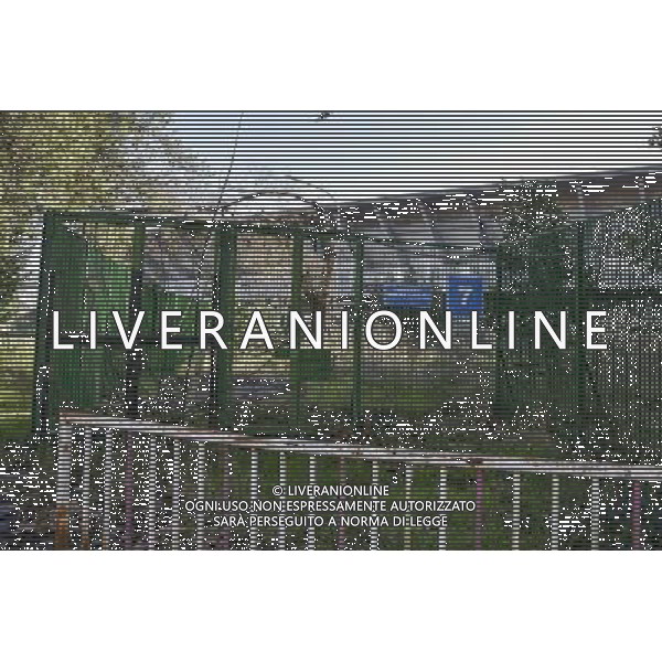 Roma 10.02.2016 Stadio Flaminio / Ph. Corradetti - Ag. Aldo Liverani sas / AGENZIA ALDO LIVERANI SAS 