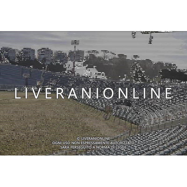 Roma 10.02.2016 Stadio Flaminio / Ph. Corradetti - Ag. Aldo Liverani sas / AGENZIA ALDO LIVERANI SAS 