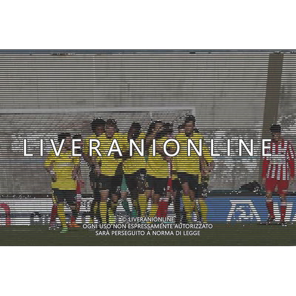 F.C. FORLí vs F.C.D. ALTOVICENTINO, Campionato di Calcio Serie D, Girone D, 26» giornata, 10/02/2016, nella foto:L\'ESULTANZA DELL\' ALTOVICENTINO, ph.CLAUDIO ZAMAGNI/AGENZIA ALDO LIVERANI S.A.S.