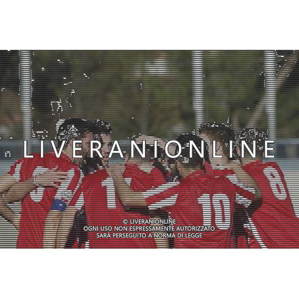 F.C. FORLí vs F.C.D. ALTOVICENTINO, Campionato di Calcio Serie D, Girone D, 26» giornata, 10/02/2016, nella foto: L\'ESULTANZA DEL FORLí, ph.CLAUDIO ZAMAGNI/AGENZIA ALDO LIVERANI S.A.S.