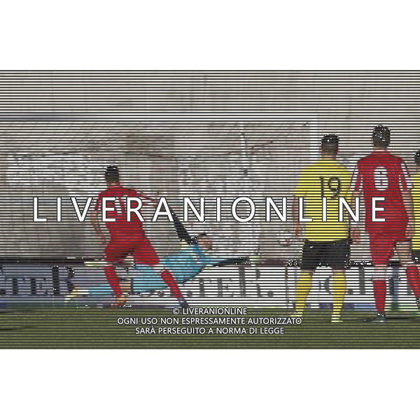 F.C. FORLí vs F.C.D. ALTOVICENTINO, Campionato di Calcio Serie D, Girone D, 26» giornata, 10/02/2016, nella foto: IL RIGORE DI NICCIOLINI, ph.CLAUDIO ZAMAGNI/AGENZIA ALDO LIVERANI S.A.S.