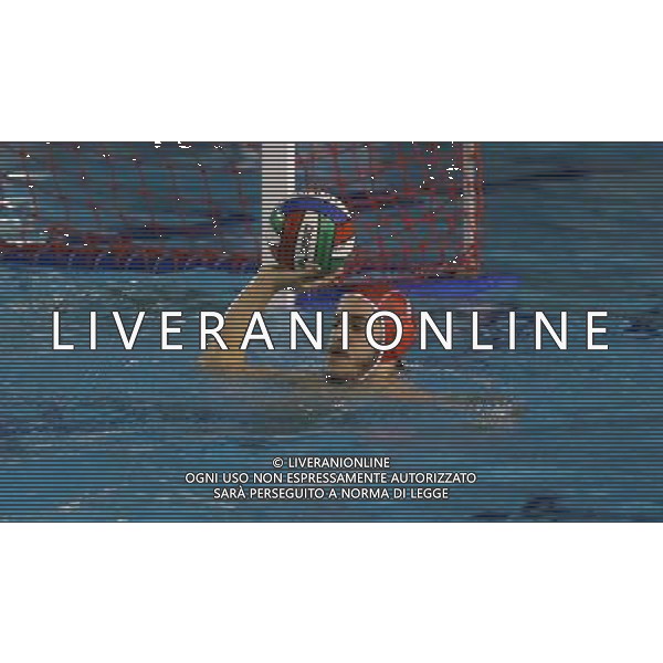 Voltolini ,singoli pallanuoto Brescia Waterpolo ,Brescia 6 febbraio 2016. AG ALDO LIVERANI SAS