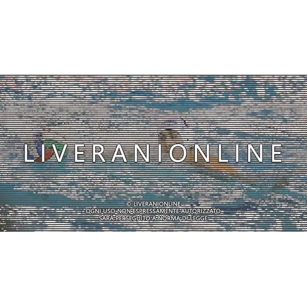 Di Rocco ,singoli pallanuoto Brescia Waterpolo ,Brescia 6 febbraio 2016. AG ALDO LIVERANI SAS