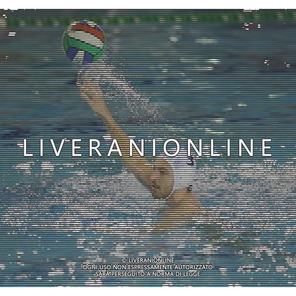 Zugni ,singoli pallanuoto Brescia Waterpolo ,Brescia 6 febbraio 2016. AG ALDO LIVERANI SAS