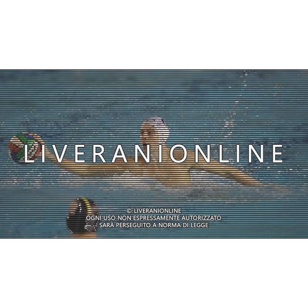 Lanfranco ,singoli pallanuoto Brescia Waterpolo ,Brescia 6 febbraio 2016. AG ALDO LIVERANI SAS