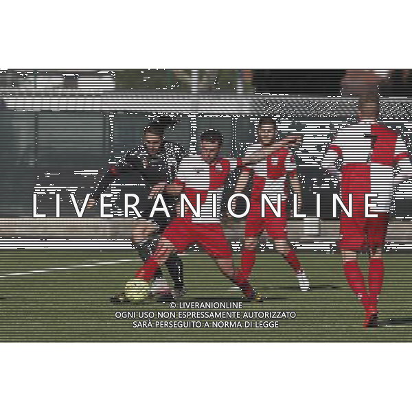 RIMINI vs ROBUR SIENA, Campionato di Calcio Lega Pro, Girone B, 22» giornata, 14/02/2016, nella foto: ph.CLAUDIO ZAMAGNI/AGENZIA ALDO LIVERANI S.A.S.