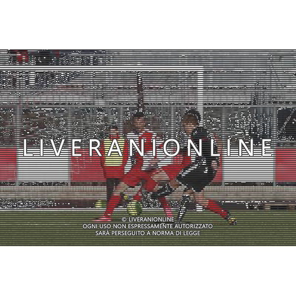 RIMINI vs ROBUR SIENA, Campionato di Calcio Lega Pro, Girone B, 22» giornata, 14/02/2016, nella foto: BORON, TIRA IN PORTA, ph.CLAUDIO ZAMAGNI/AGENZIA ALDO LIVERANI S.A.S.