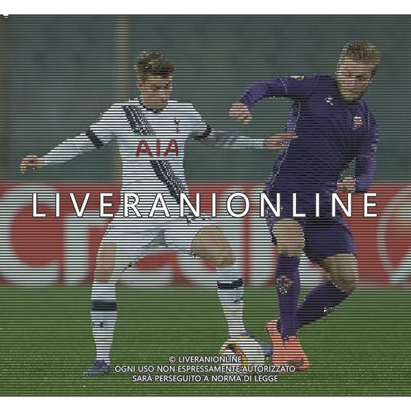 UEFA Europa League 2015/2016 Sedicesimi di Finale Firenze - 18.02.2016 Fiorentina-Tottenham Nella Foto:blaszczykowski-carroll /Ph.Vitez-Ag. Aldo Liverani