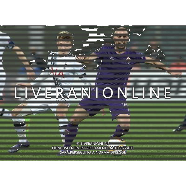UEFA Europa League 2015/2016 Sedicesimi di Finale Firenze - 18.02.2016 Fiorentina-Tottenham Nella Foto:borja valero carroll /Ph.Vitez-Ag. Aldo Liverani