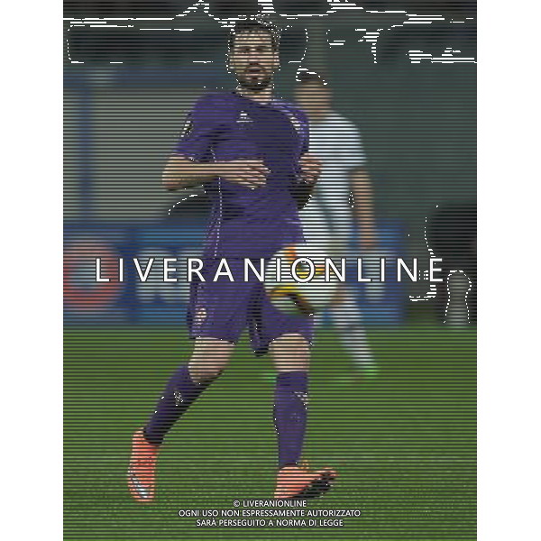 UEFA Europa League 2015/2016 Sedicesimi di Finale Firenze - 18.02.2016 Fiorentina-Tottenham Nella Foto:Tomovic Nenad /Ph.Vitez-Ag. Aldo Liverani