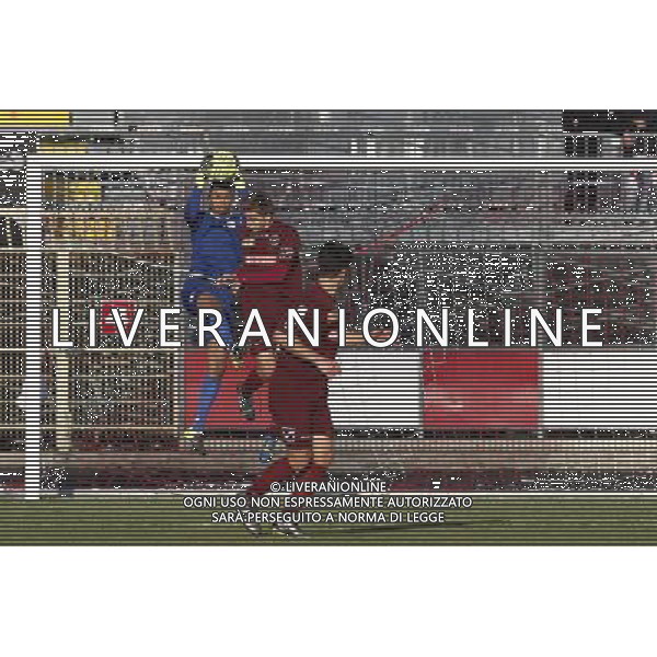 RIMINI vs PONTEDERA, Campionato di Calcio Lega Pro, Girone B, 23Âª giornata, 20/02/2016, nella foto:ANACOURA, PROTEGGE LA PORTA, Â©CLAUDIO ZAMAGNI/AGENZIA ALDO LIVERANI S.A.S.