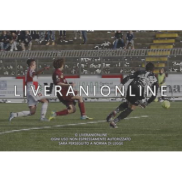 RIMINI vs PONTEDERA, Campionato di Calcio Lega Pro, Girone B, 23Âª giornata, 20/02/2016, nella foto: IL TIRO DI PEDRELLI, Â©CLAUDIO ZAMAGNI/AGENZIA ALDO LIVERANI S.A.S.