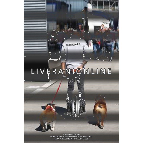 Lewis Hamilton (GBR) Mercedes AMG F1 on a hoverboard in the paddock with his dogs Roscoe and Coco. 01.03.2016. Formula One Testing, Day One, Barcelona, Spain. Tuesday. / AGENZIA ALDO LIVERANI SAS - ITALY ONLY EDITORIAL USE ONLY