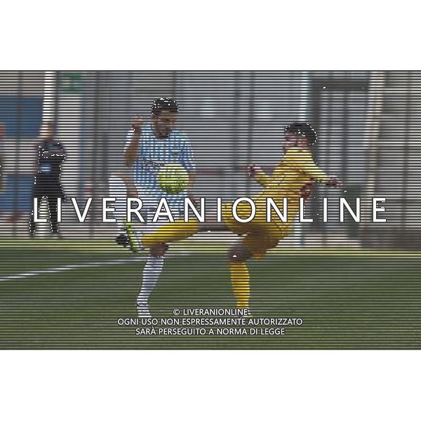 Semifinale Coppa Italia Lega Pro, S.P.A.L. vs CITTADELLA del 02/03/2016, nella foto: MINESSO, SULLA CAVIGLIA DI SPIGHI, ©Claudio Zamagni/Agenzia Aldo Liverani s.a.s.