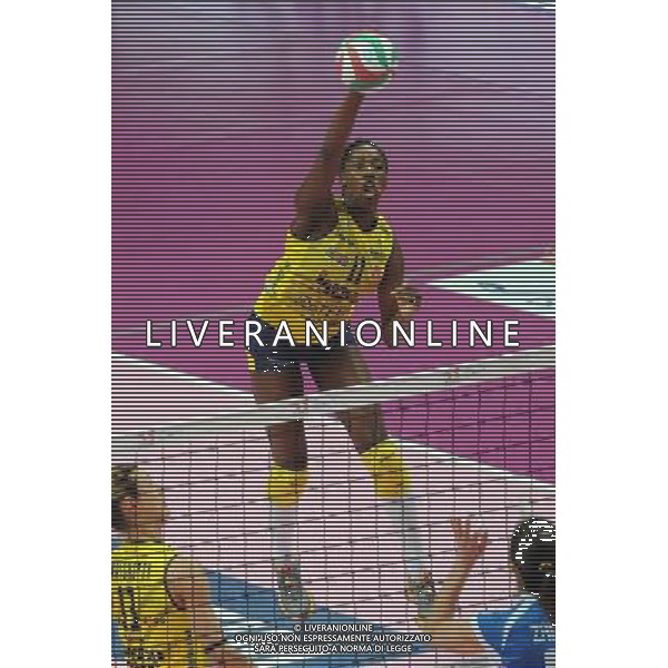 Campionato Serie A1 Master Group Sport - 22Â° giornata Busto Arsizio (VA) 2-03-2016 PalaYamamay Club Italia vs Imoco Volley Conegliano nella foto Megan Easy (Conegliano) foto Roberto Garavaglia - ag. Aldo Liverani sas